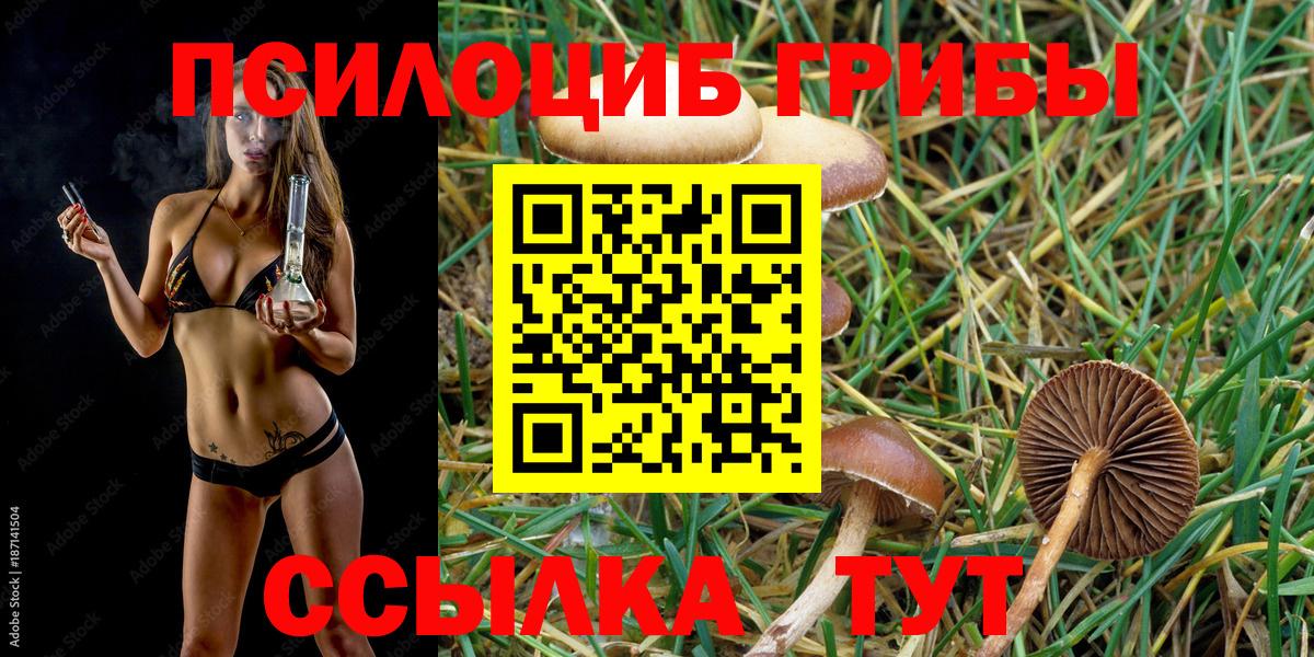 Псилоцибиновые грибы Magic Shrooms  Галлюциногенные грибы Magic Shrooms  дарнет шоп  Долгопрудный  Вход с VPN 
