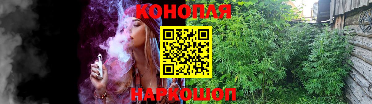Долгопрудный  Каннабис OG Kush  Вход с VPN  Конопля OG Kush  МАРИХУАНА марихуана 